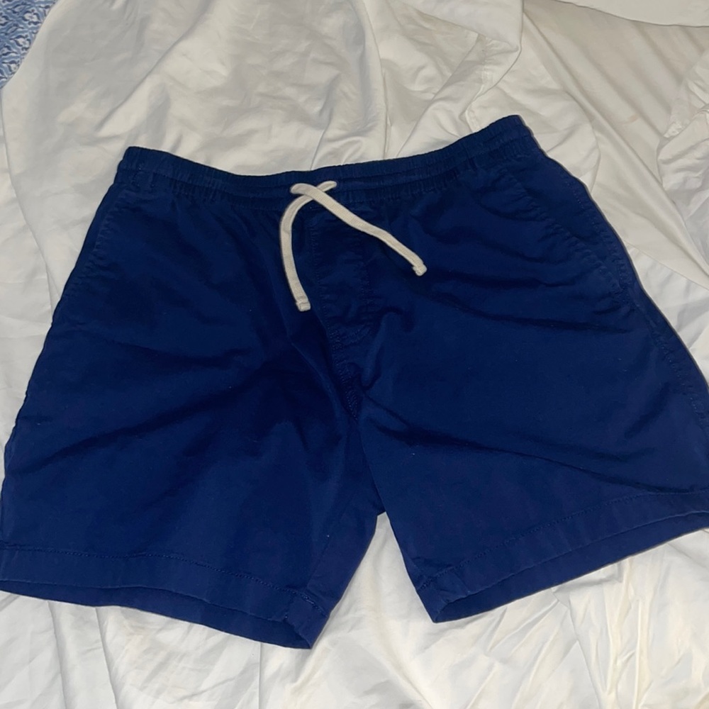 Jcrew Factory Navy Mens Shorts
